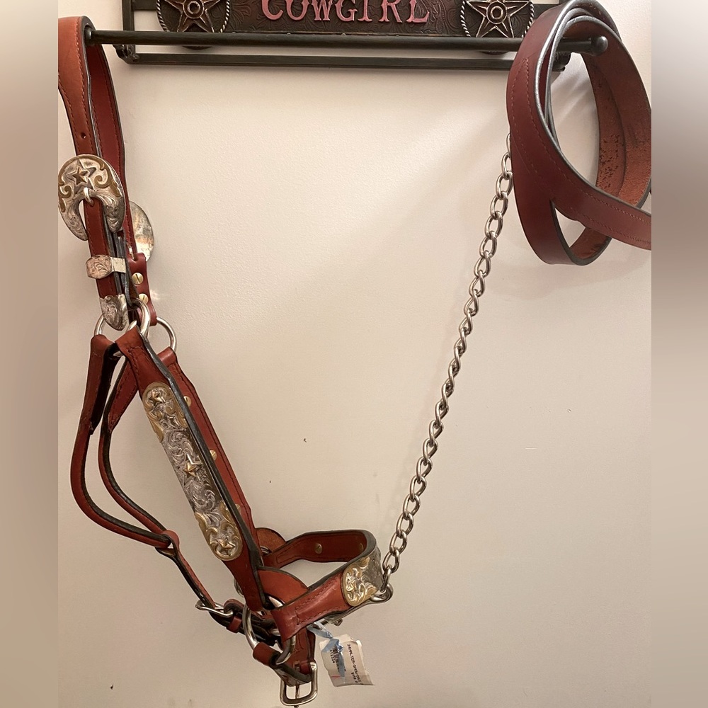 Dale Chavez show halter and lead